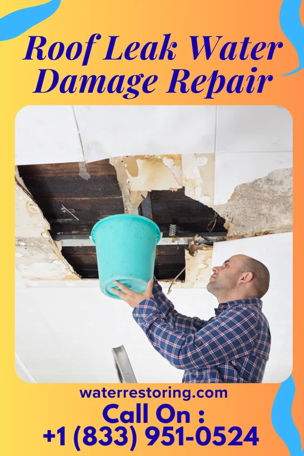 Roof Leak Water Damage Repair in Hurt, VA