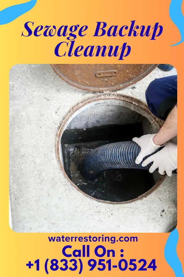 Sewage Backup Cleanup in Hurt, VA